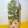 Beach Treasures in a Bottle-2