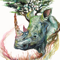 Rhino - Print - Thumbnail 1