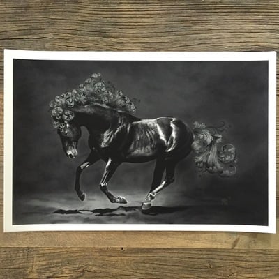 Small 'dark horse' by matthew greskiewicz (limited edition print) - Thumbnail 5