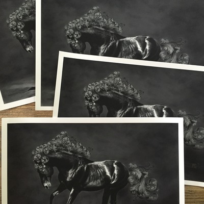 Small 'dark horse' by matthew greskiewicz (limited edition print)