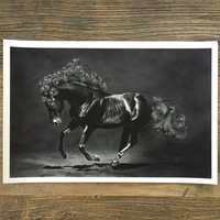 LARGE 'Dark Horse' by Matthew Greskiewicz (limited edition print) - Thumbnail 1
