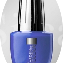 The Garden Of Colours 76