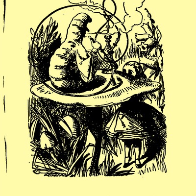 Advice from a caterpillar