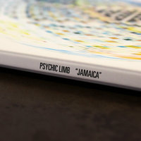 Psychic Limb - Jamaica LP - Thumbnail 2