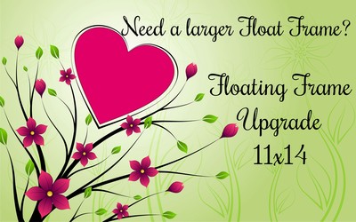 Upgrade to 11x14 Float Frame