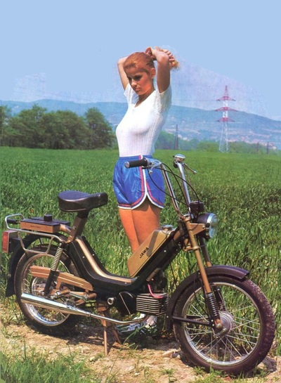 Aprilia Vinyl Decal (Pair)