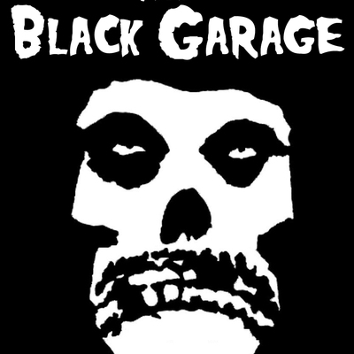 Kawasaki s1r brake rotors