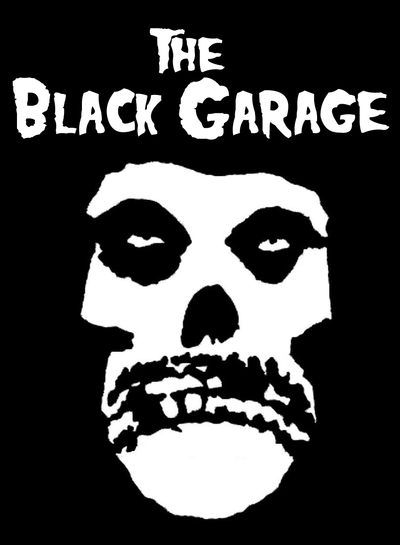 Kawasaki S1R Brake Rotors