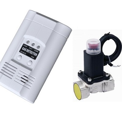 Flammable gas detector with controller solenoid valve