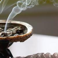 Mystical California White Sage Smudge Sticks  - Thumbnail 3