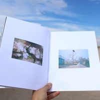 Wild, Wonderful - Thumbnail 3