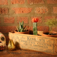 Vintage Cheese Box Planter Set - Thumbnail 1