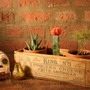 Vintage Cheese Box Planter Set-1