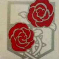 Price Drop! Emblems - Thumbnail 1