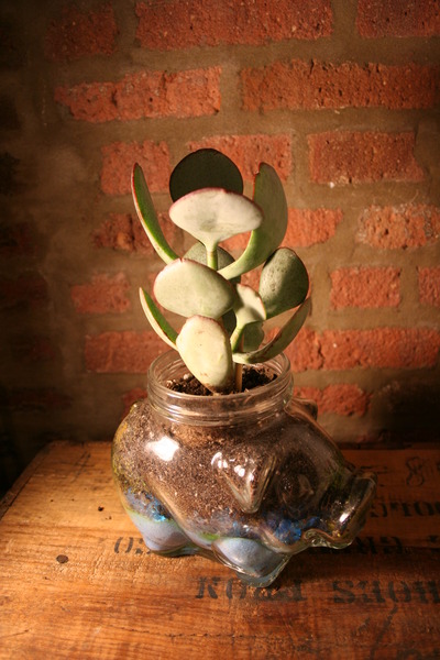 Large Glass Pig Planter