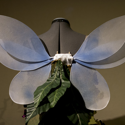 Best fairy ever style wings