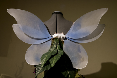 Best Fairy Ever style wings