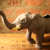 Large Plastic Animal Planter with Succulent/Cactus - Thumbnail 4