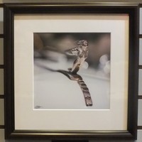 "36 Auburn" original art Photograph by Viola Ware - Thumbnail 1