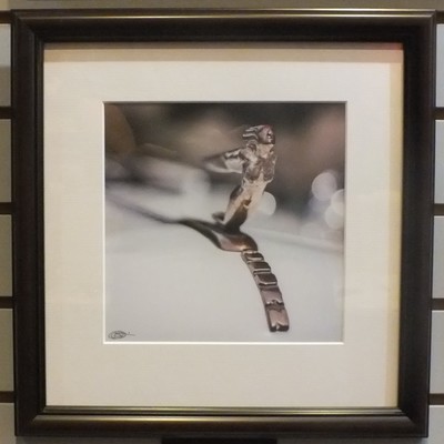 "36 auburn" original art photograph by viola ware