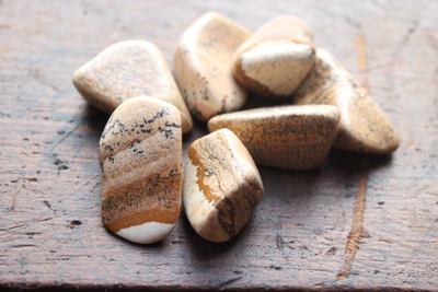 Tumbled Picture Jasper