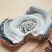 Raw Agate Druzy - Thumbnail 1