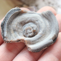 Raw Agate Druzy - Thumbnail 2