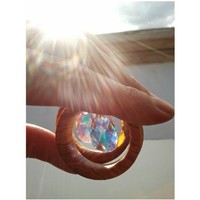 Olive Wood + Dangle Crystals Tunnels for Stretched Ears - Thumbnail 3