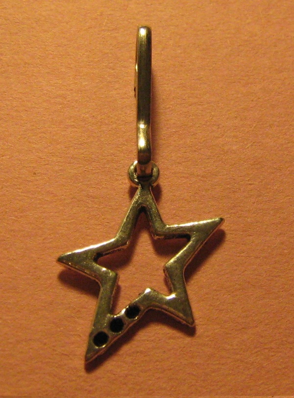 Star Zipper Pull