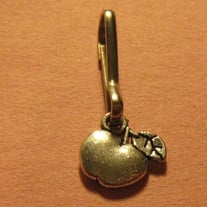 Apple Zipper Pull
