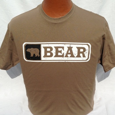 Transformer bear t-shirt,