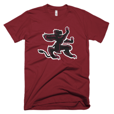 Image (men's t-shirt)