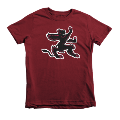 Image (Kids T-Shirt)