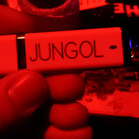 GO SOFTLY/JUNGOL "GHOST KNOCKS" Release Show Special - Thumbnail 3