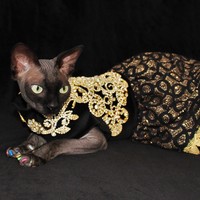 DIVA Dress- House of Swag - Thumbnail 1