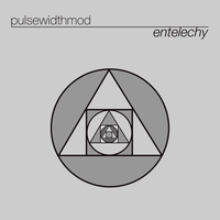 PULSEWIDTHMOD - "ENTELECHY" C33 - Thumbnail 2