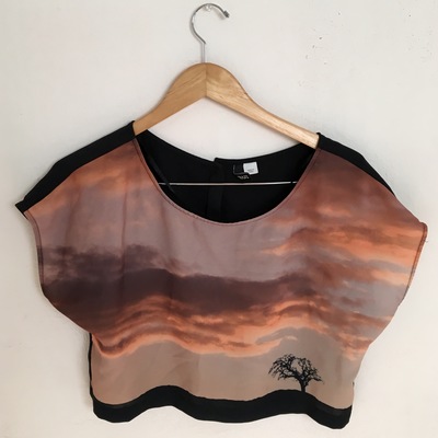 Sunset crop top