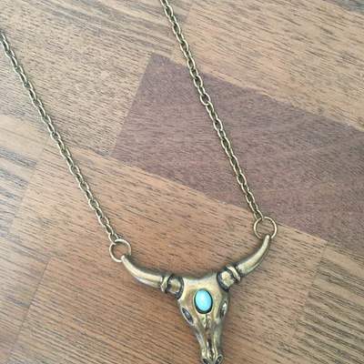 Long bull necklace