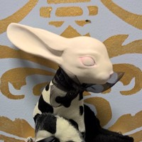 Rachel Girard - Thumbnail 1