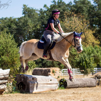 Pacific Knee Patch Breech - Thumbnail 4