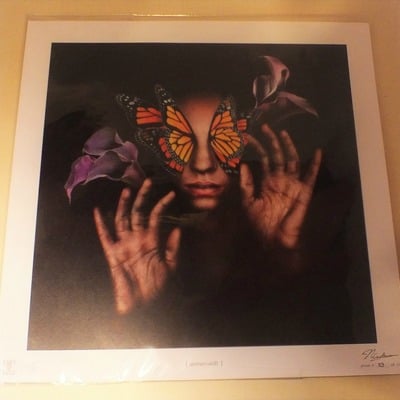 "carmen noctis" special edition giclee print by nicolaus ferry 