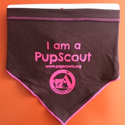 Pupscout girl bandana w/logo