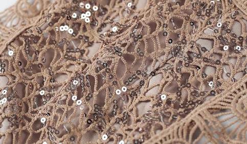 Beige Sequin Elegant Bustier Crop Top