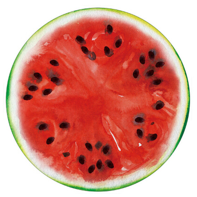 Watermelon beach blanket