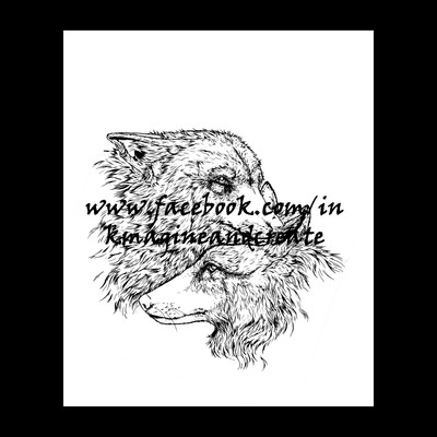 Coloring poster: nv: alexion and mysti