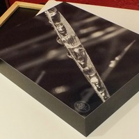 "In a Blade of Grass" original Photograph on Standout Mount by Viola Ware, 10x8 - Thumbnail 1