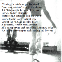 DON'T SHOOT THE MESSENGER - SAIRA VIOLA - Thumbnail 4