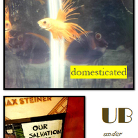 Domesticated by Philippe Shils - Thumbnail 3