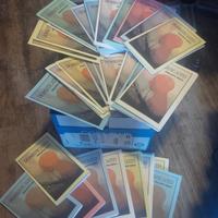 Domesticated by Philippe Shils - Thumbnail 4