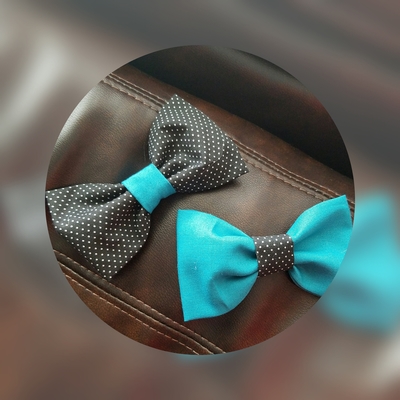Classy Bowtie